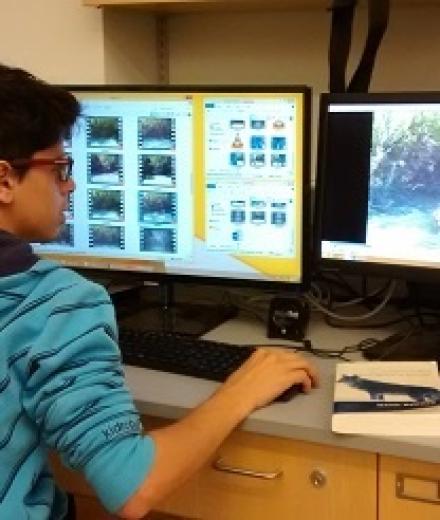 Alain Rosas organizes coyote images on the computer