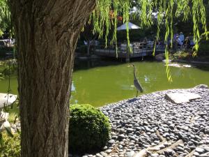 waters memorial at the japanese garden pic