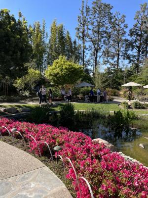 People talking near the pond at the Japanese Garden