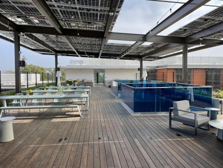 PN Rooftop Terrace