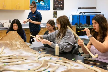 A group of students sits at a table working on model bones in a classroom.