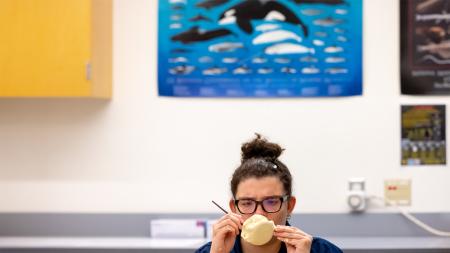 A student paints a replica of a humpback whale bone with a poster featuring a whale in the background..