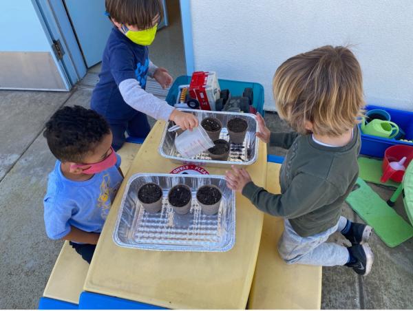 Children tend to seeds planted in pots.