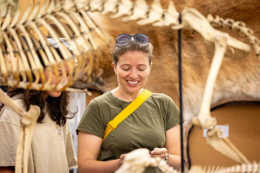 A woman looks at a display at CSULB's Mammal Lab while an animal skeleton appears in the foreground