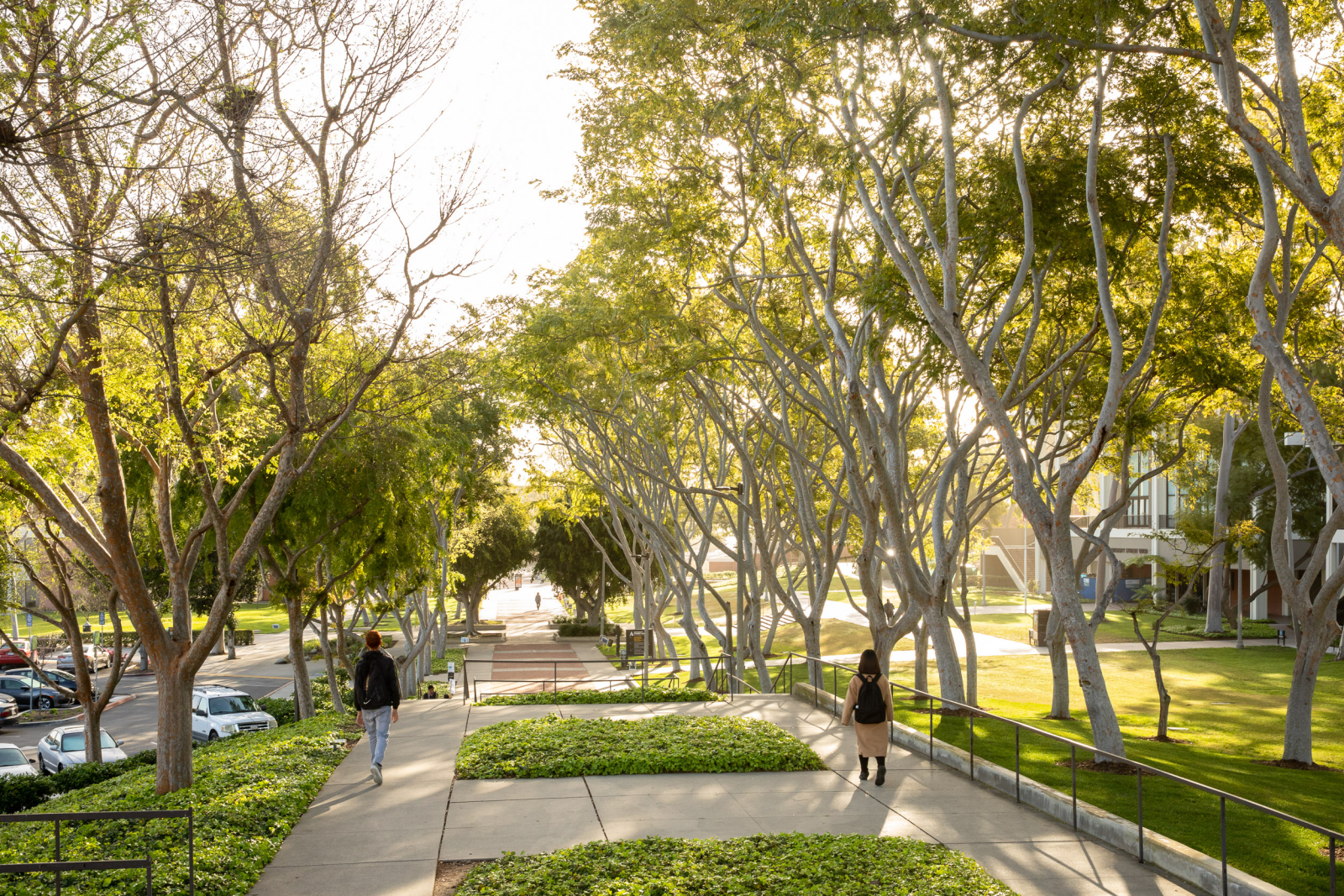 General campus shot