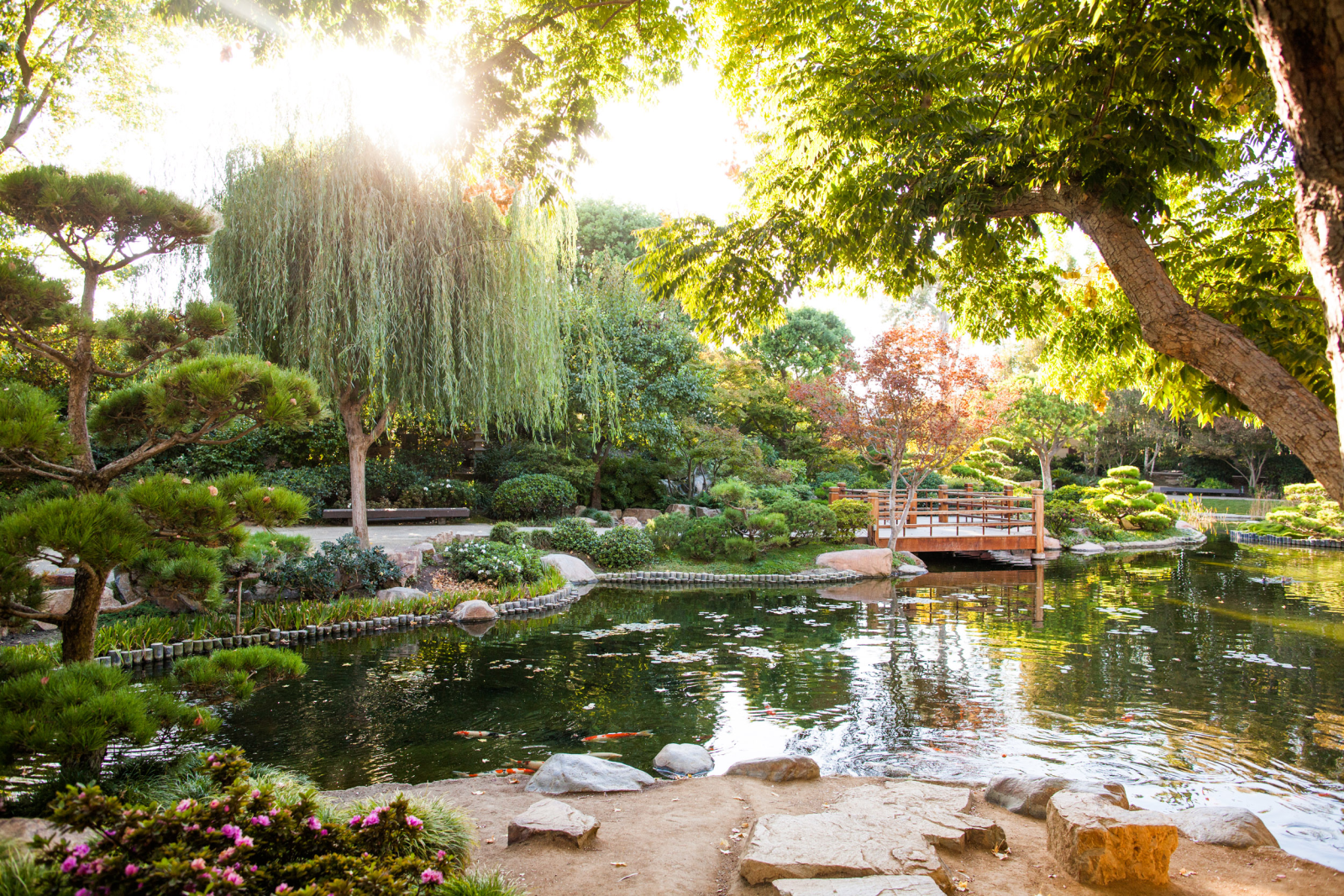 The Japanese Garden