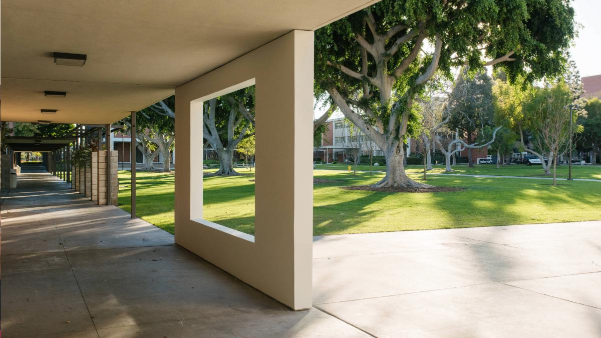 Window Wall by Robert Irwin