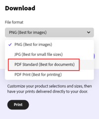 canva file formats