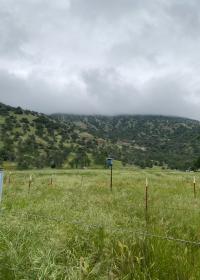 River Ridge Ranch landscape